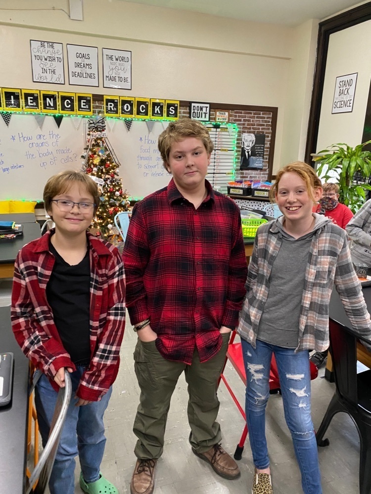 plaid