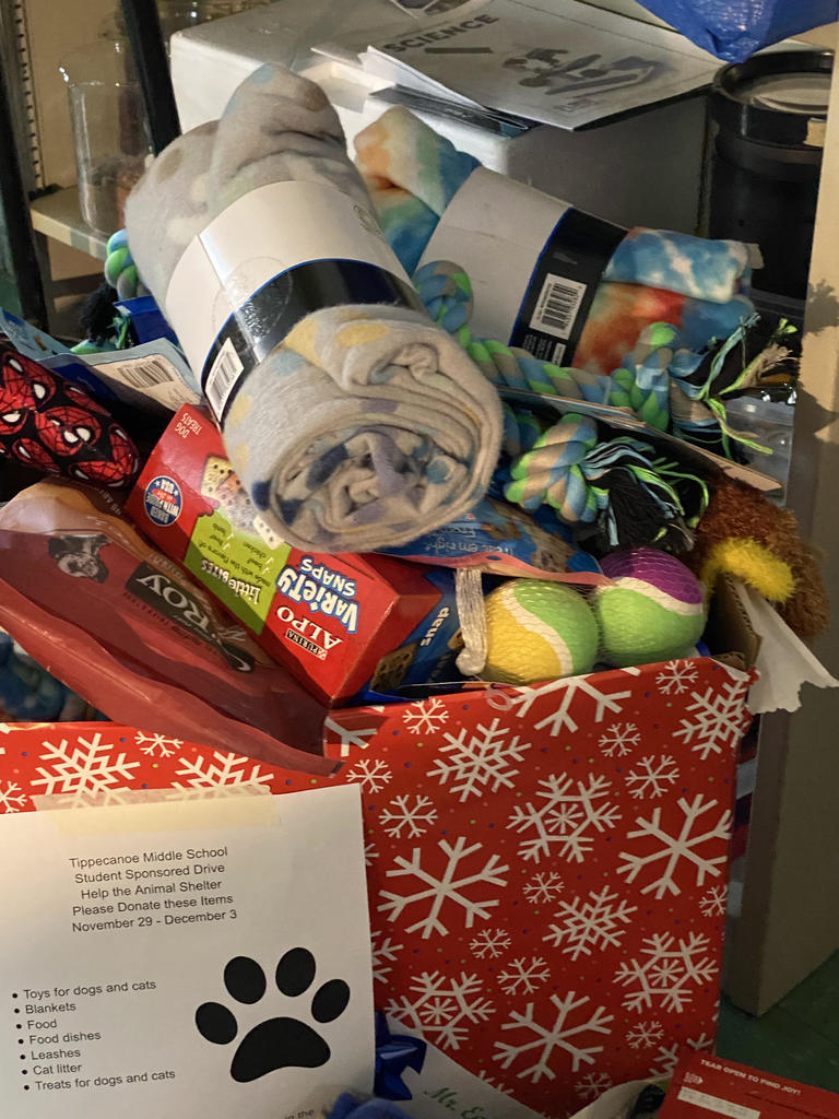 Donated dog supplies from TMS