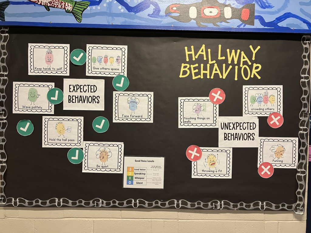 Elementary Hallway Behavior