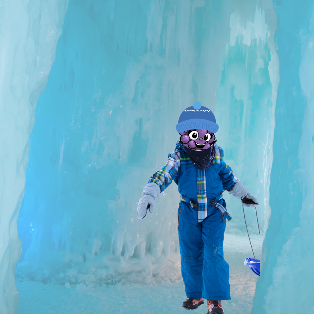 Virtual Field Trip