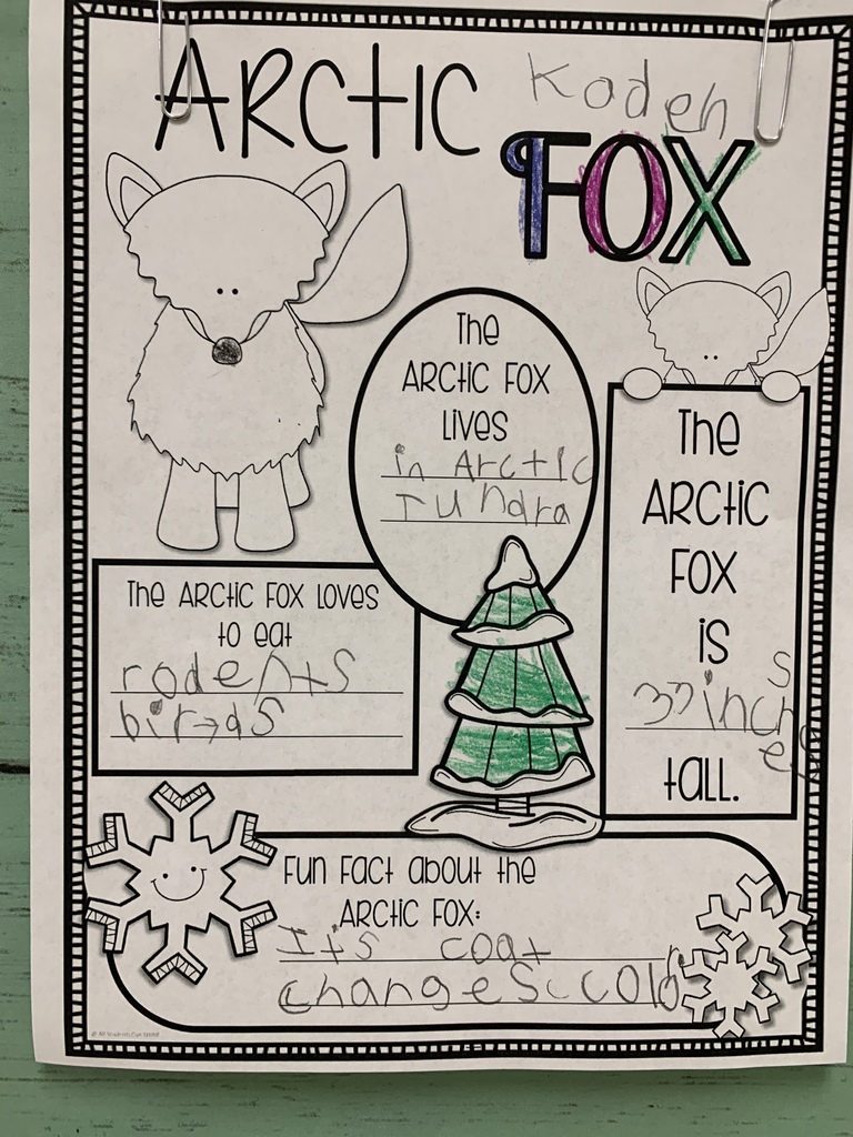 arctic fox writing
