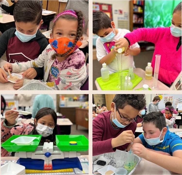 Image of a student looking at a Science experiment