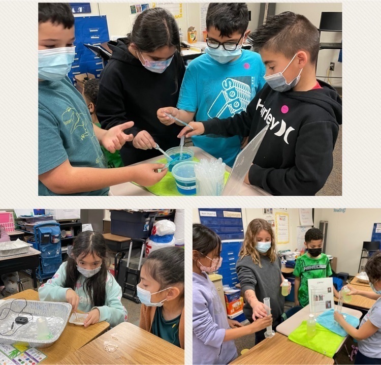 Image of students looking at a Science experiment