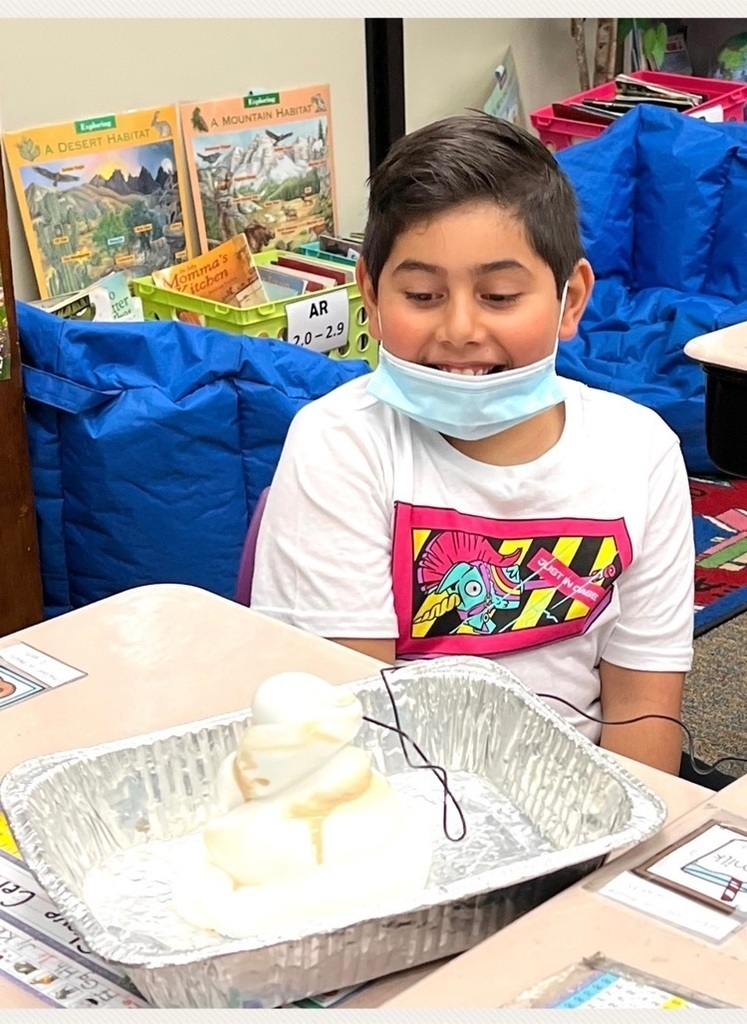 Image of a student looking at a Science experiment