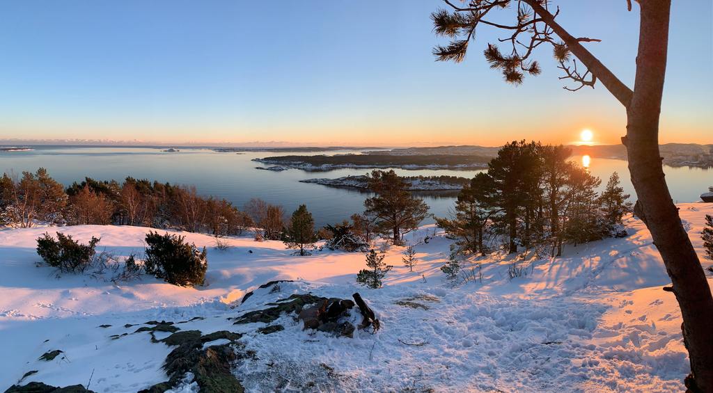 Outdoor winter landscape.