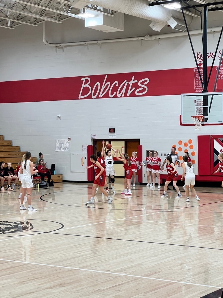 girl playing basketball