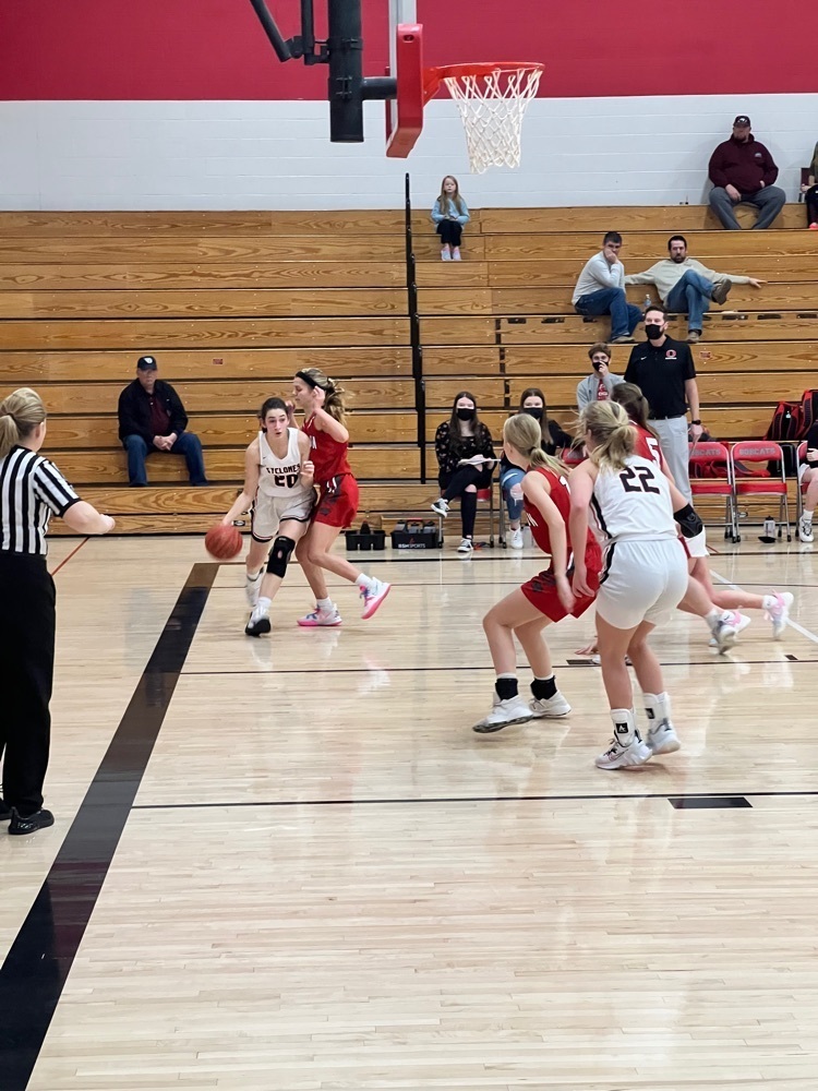girls playing basketball