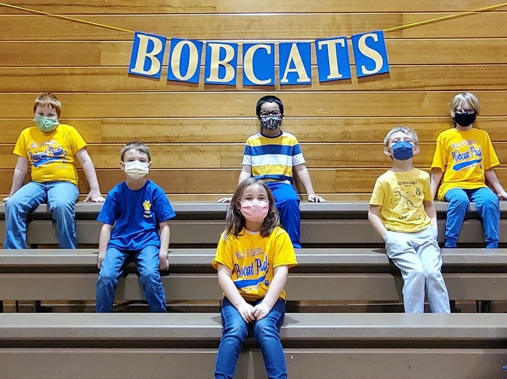 Bobcat colors