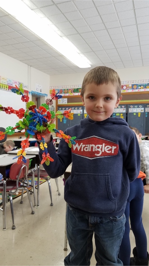 student with model snowflake