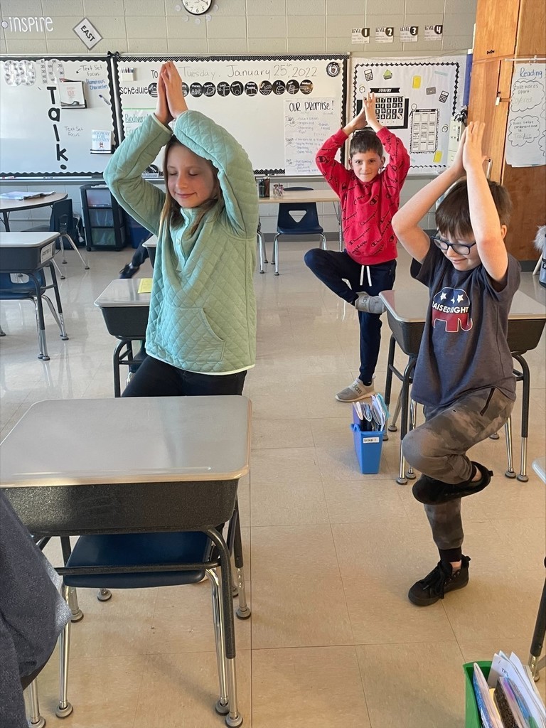 Students doing yoga