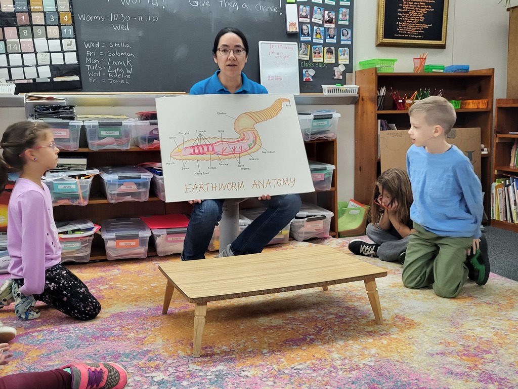 Presenter showing a diagram of a worm