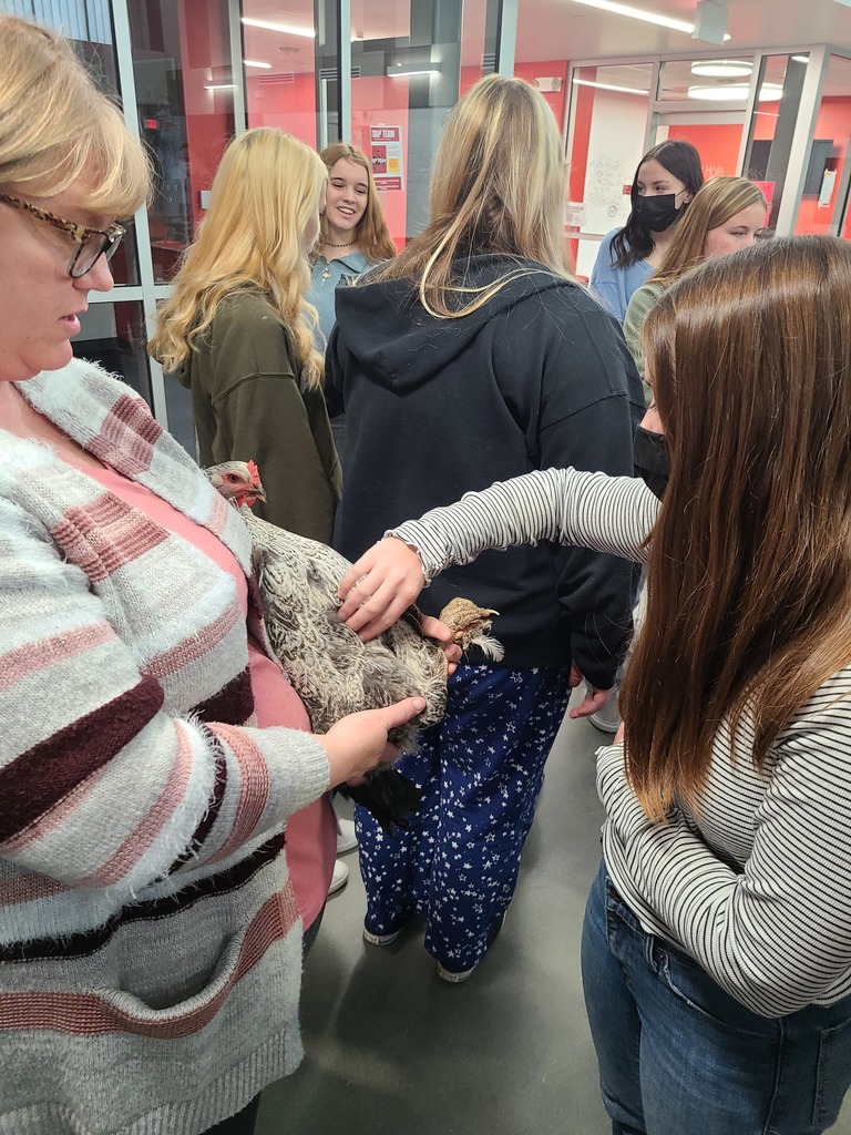 students petting a chicken