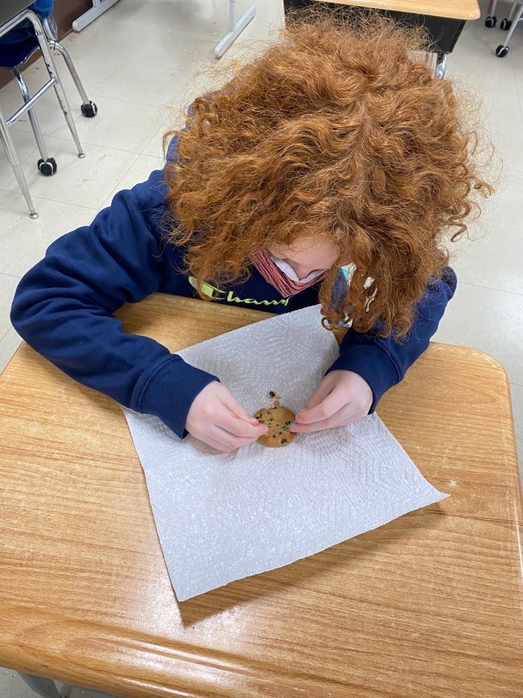 how many “fossils” can you find?