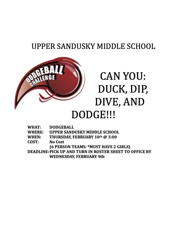 Dodgeball Tournament Information