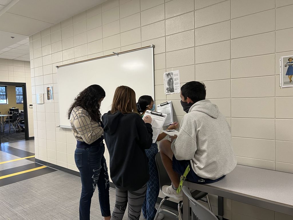 Gallery walk 2