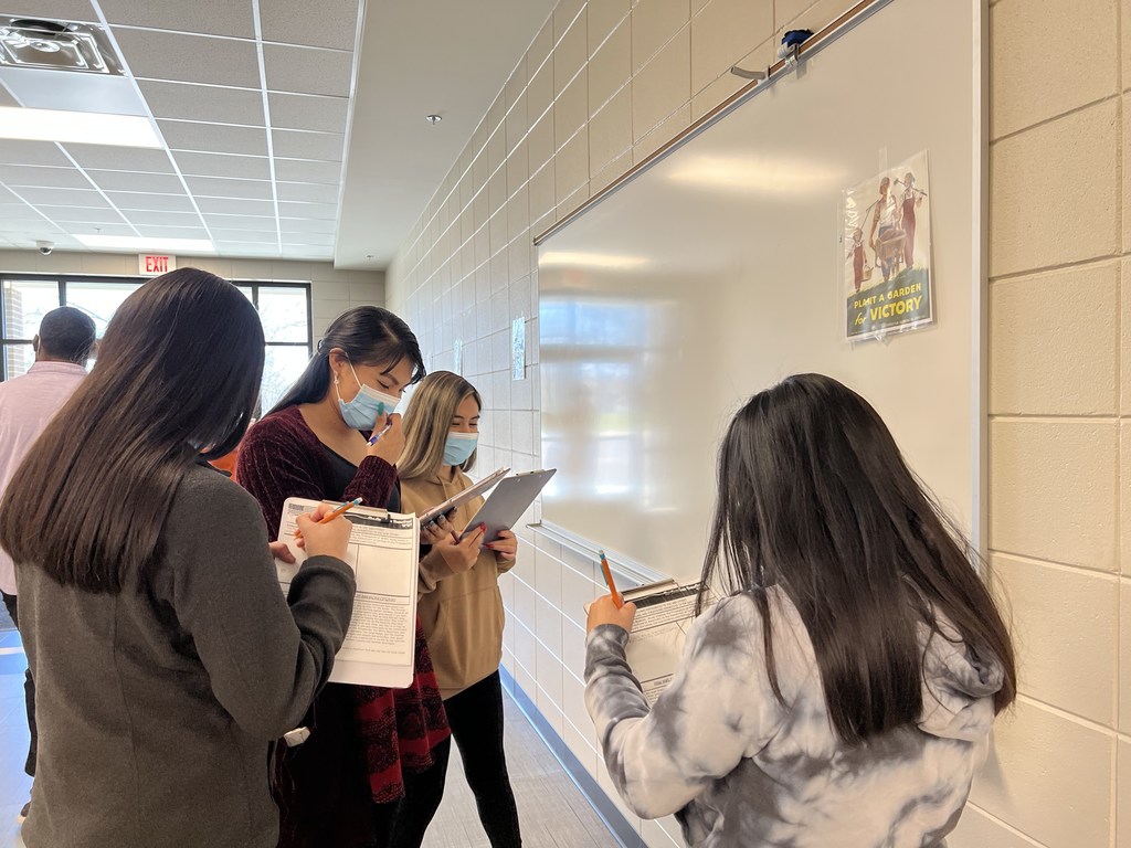 Gallery walk 3