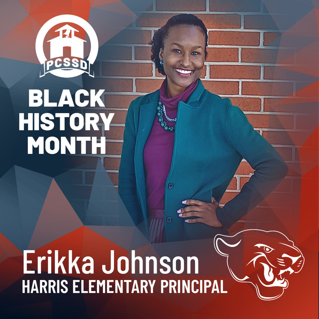 bhm erikka johnson