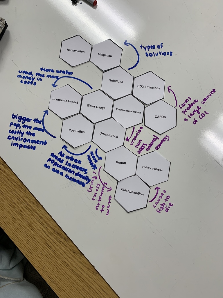 Environmental Science students use hexagonal thinking strategies to make connections. 