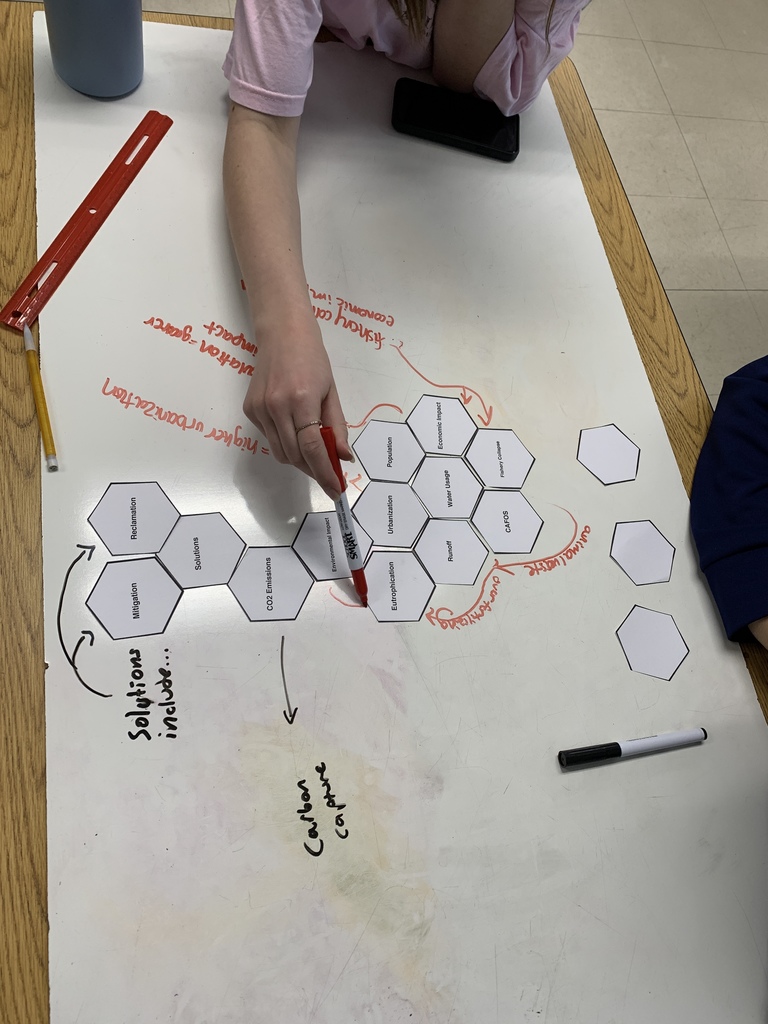 Environmental Science students use hexagonal thinking strategies to make connections. 