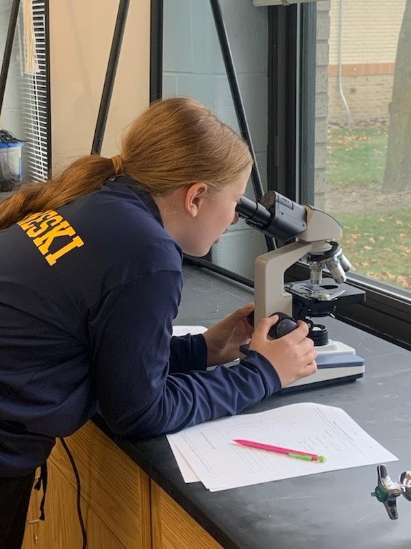 Student using microscope.