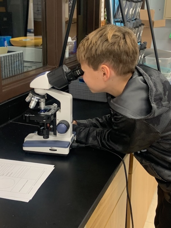 Student using microscope.
