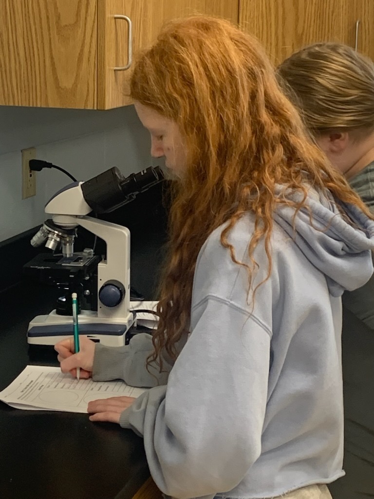 Student using microscope.