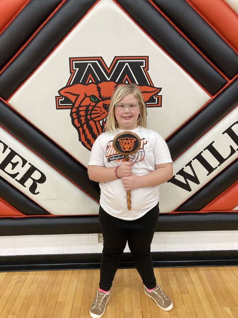 Wildcat Spirit Stick