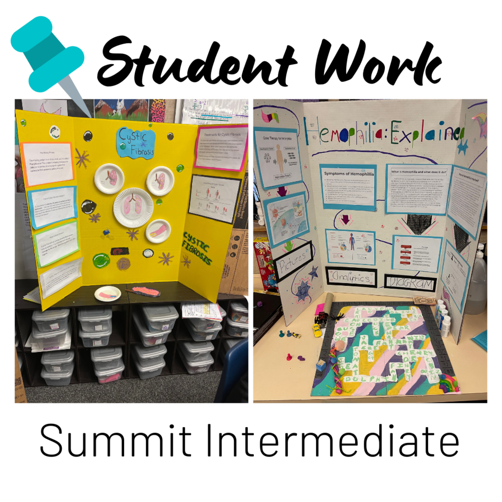 Student Work