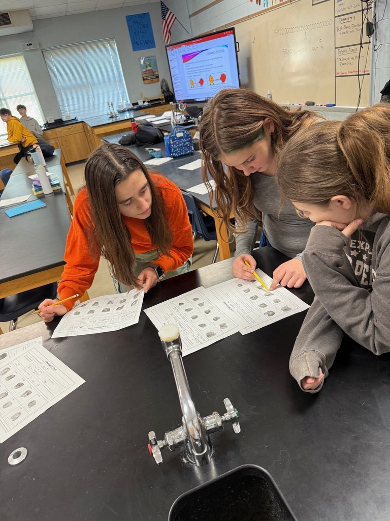 Studying the evidence