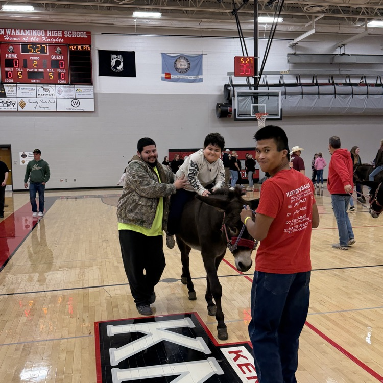 Half time donkey rides