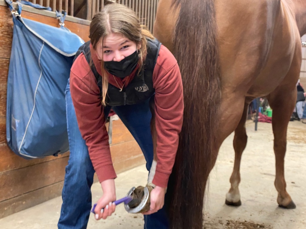 Cleaning hooves