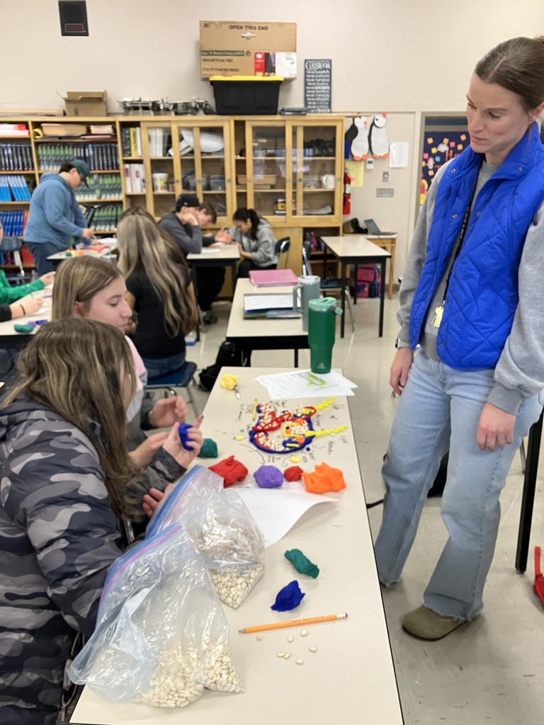 Biology Modeling Activity