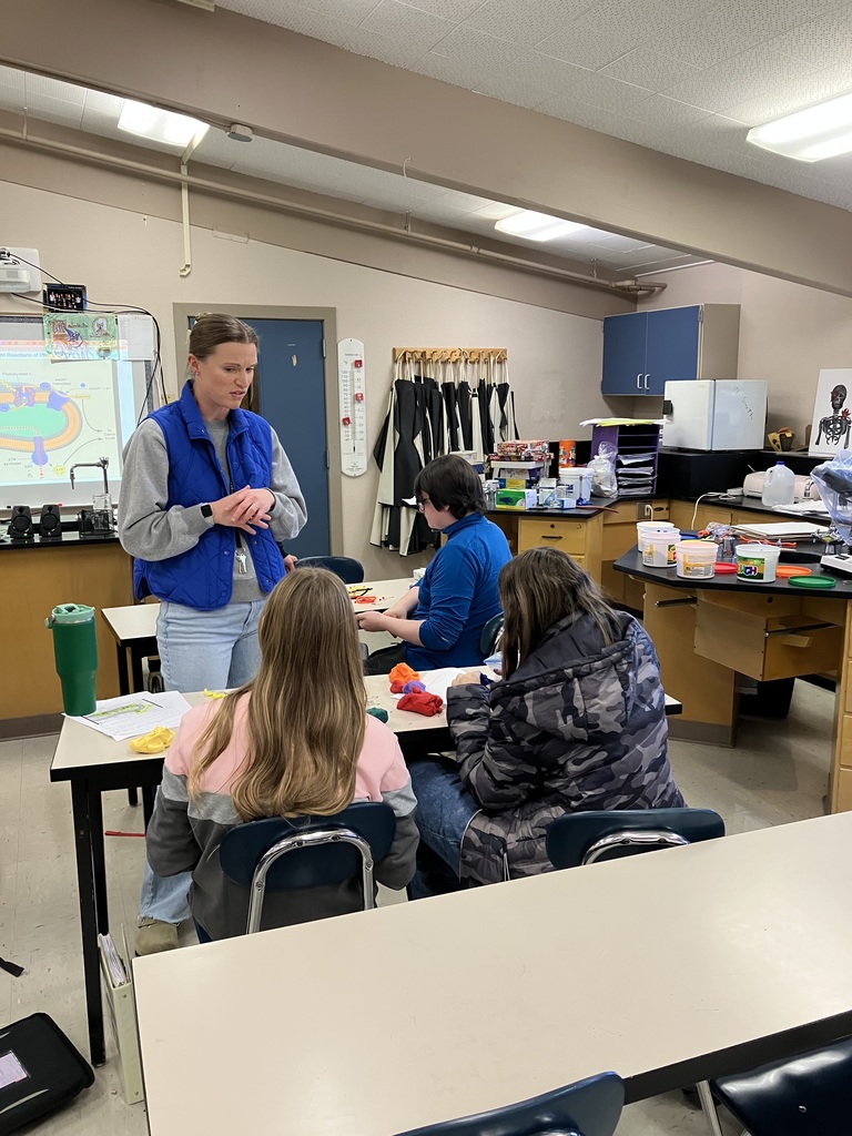 Biology Modeling Activity