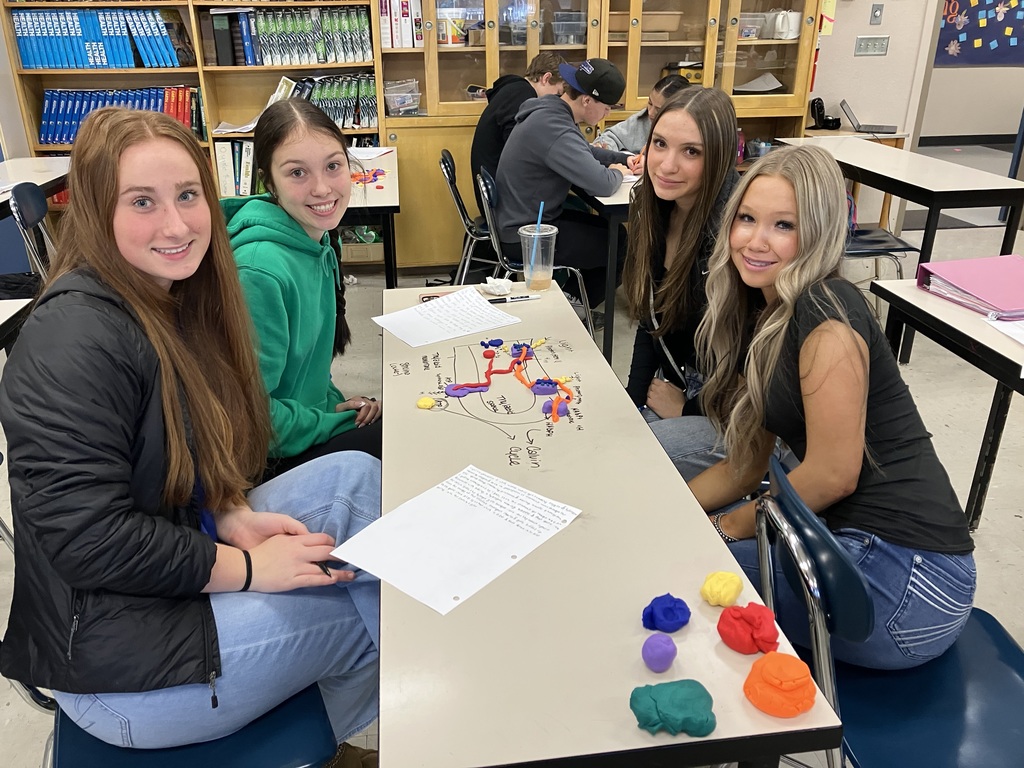 Biology Modeling Activity