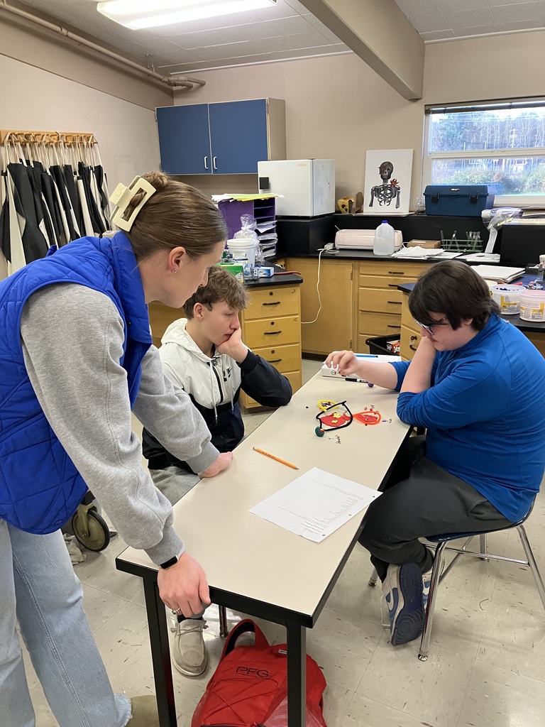 Biology Modeling Activity