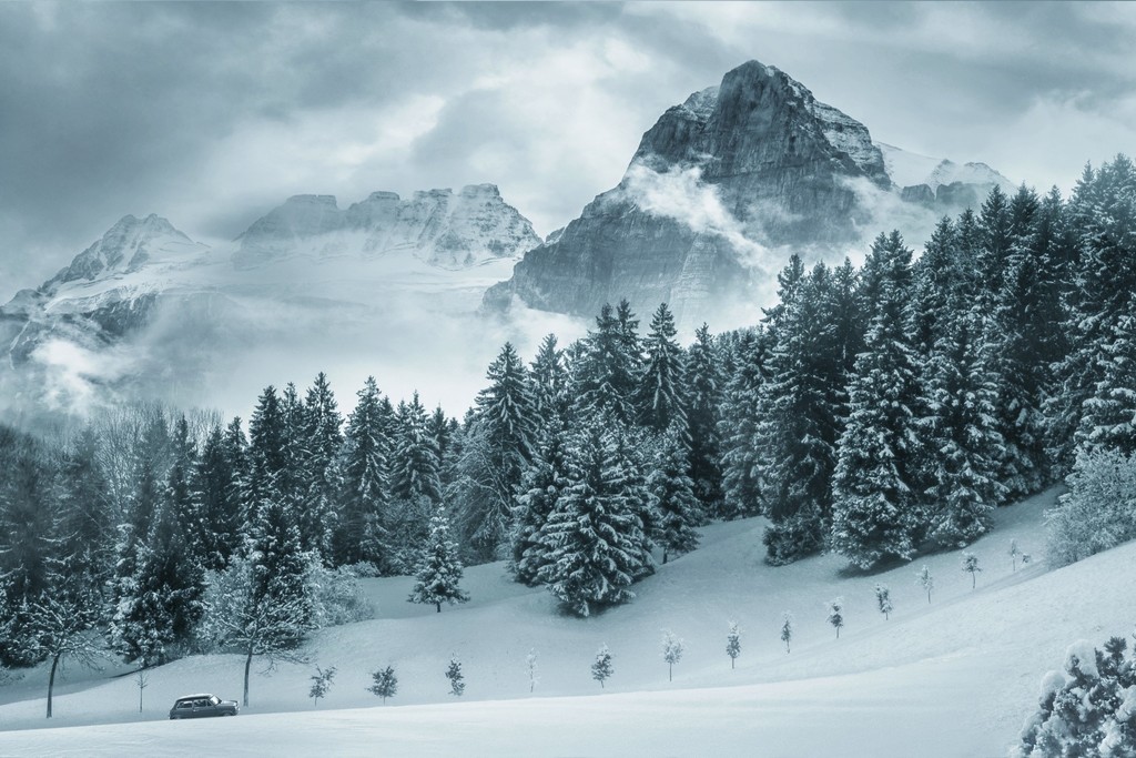 Snow covered trees and mountains