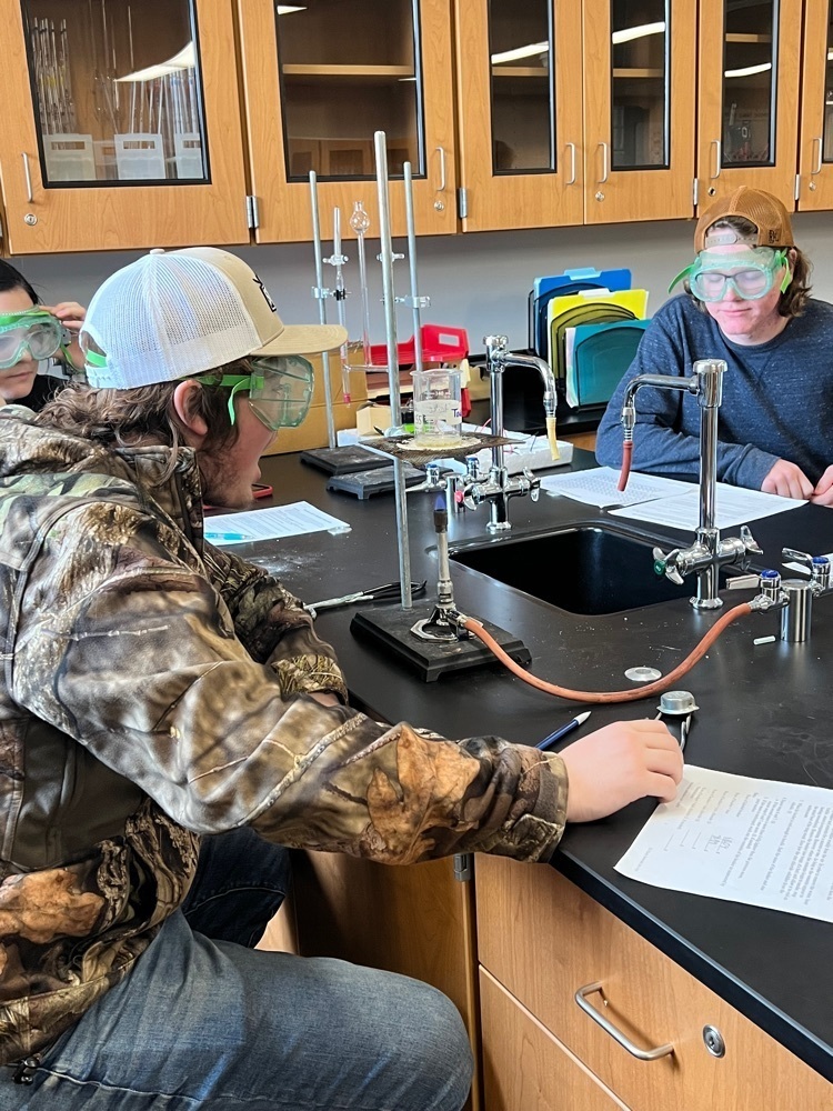 students doing an experiment 