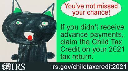 irs cat