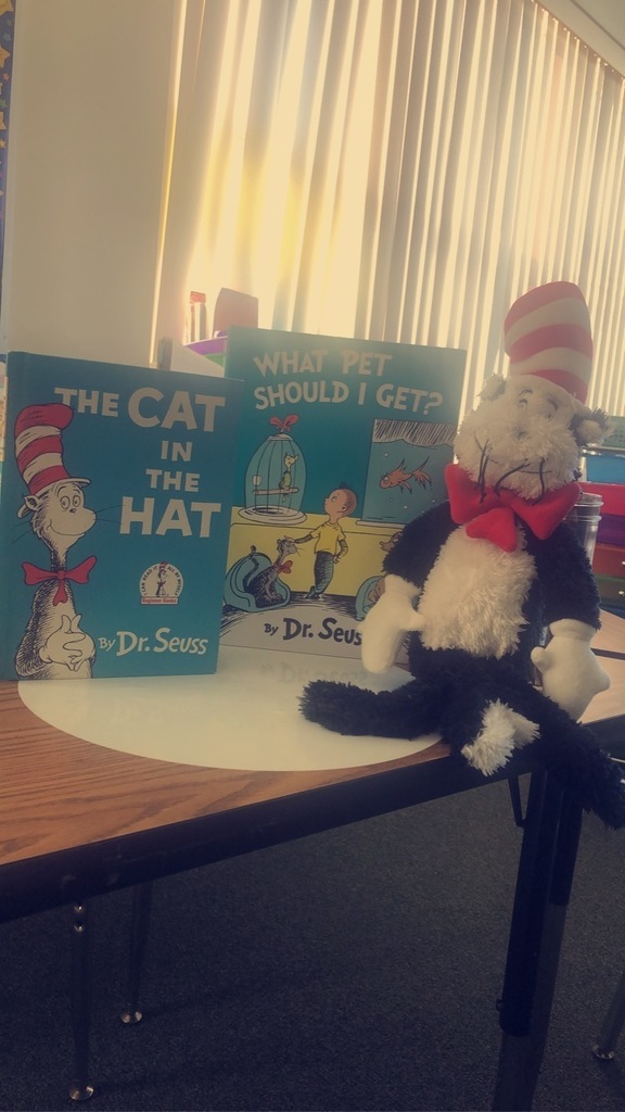 The Cat in the Hat with his Books