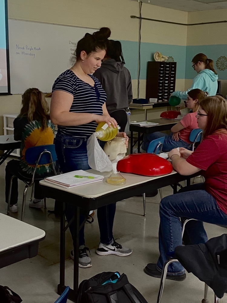 students performing CPR