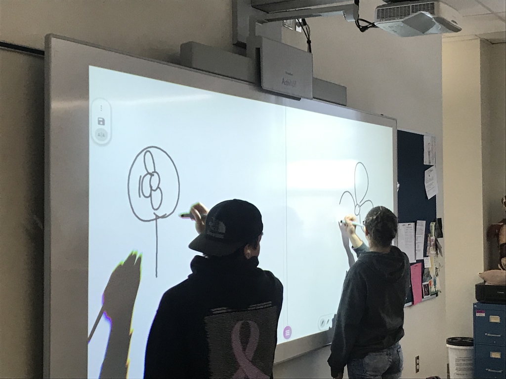 A&P Pictionary 