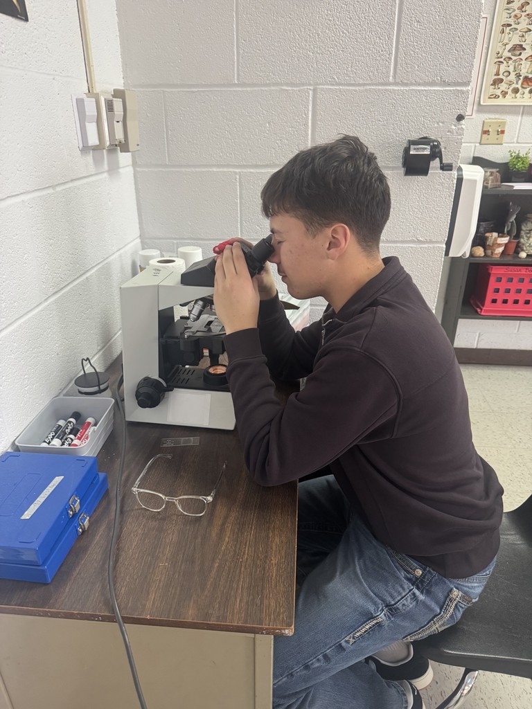 The zoology students got to see the bacteria that they stained! Some were pretty gross but so interesting!