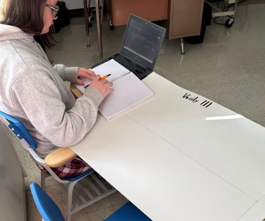 Students working in class (Mr. Daniels Social Studies)