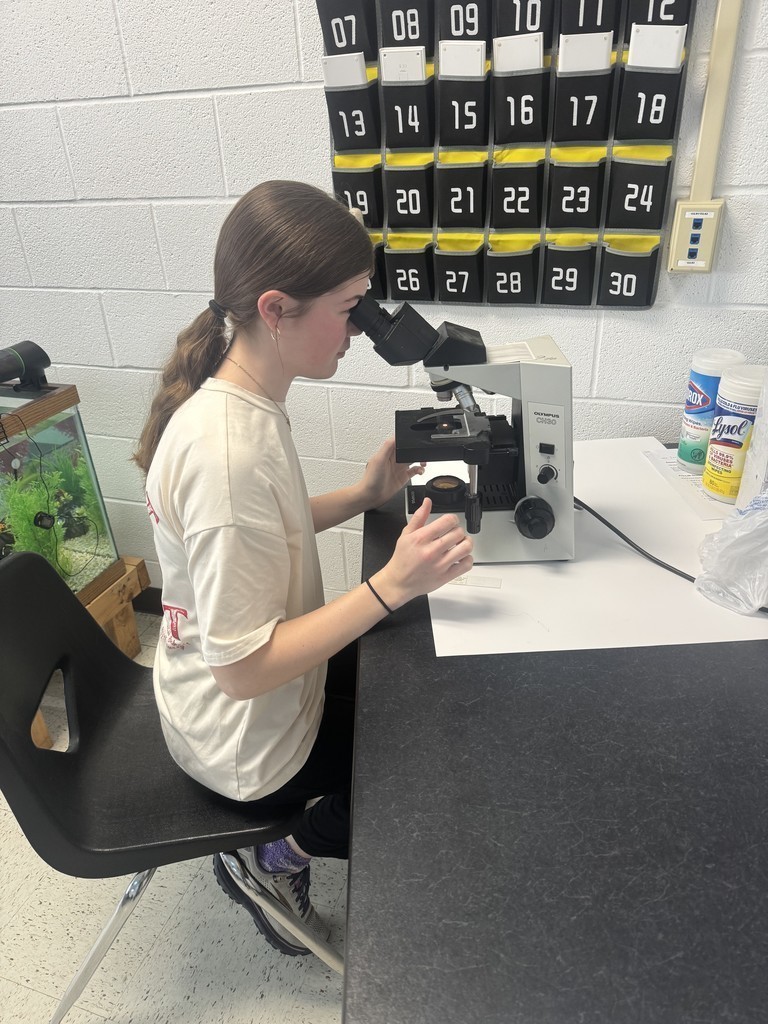 The zoology students got to see the bacteria that they stained! Some were pretty gross but so interesting!