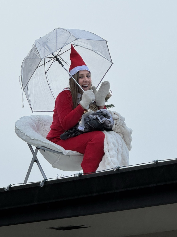 Elf on a roof???