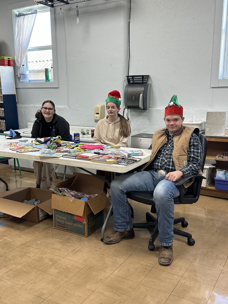 Christmas Store helpers
