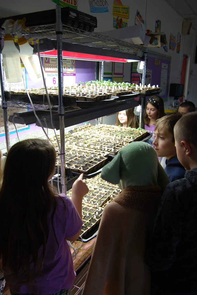 Meeting their new classmates 