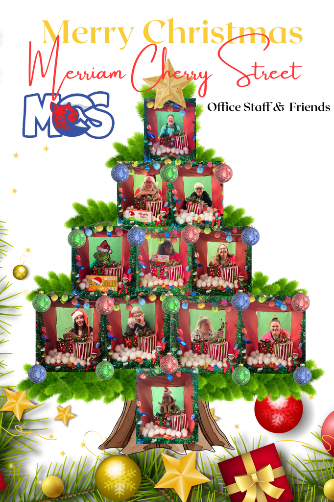 MCSE Merry Christmas Card