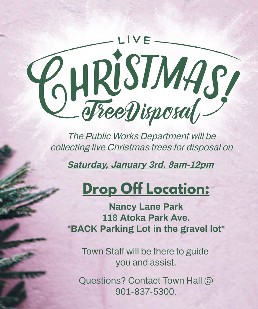 Christmas Tree Disposal