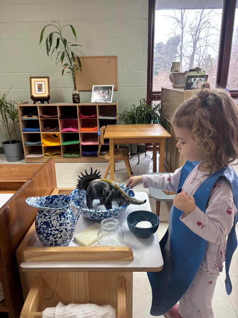 child scrubbing dino